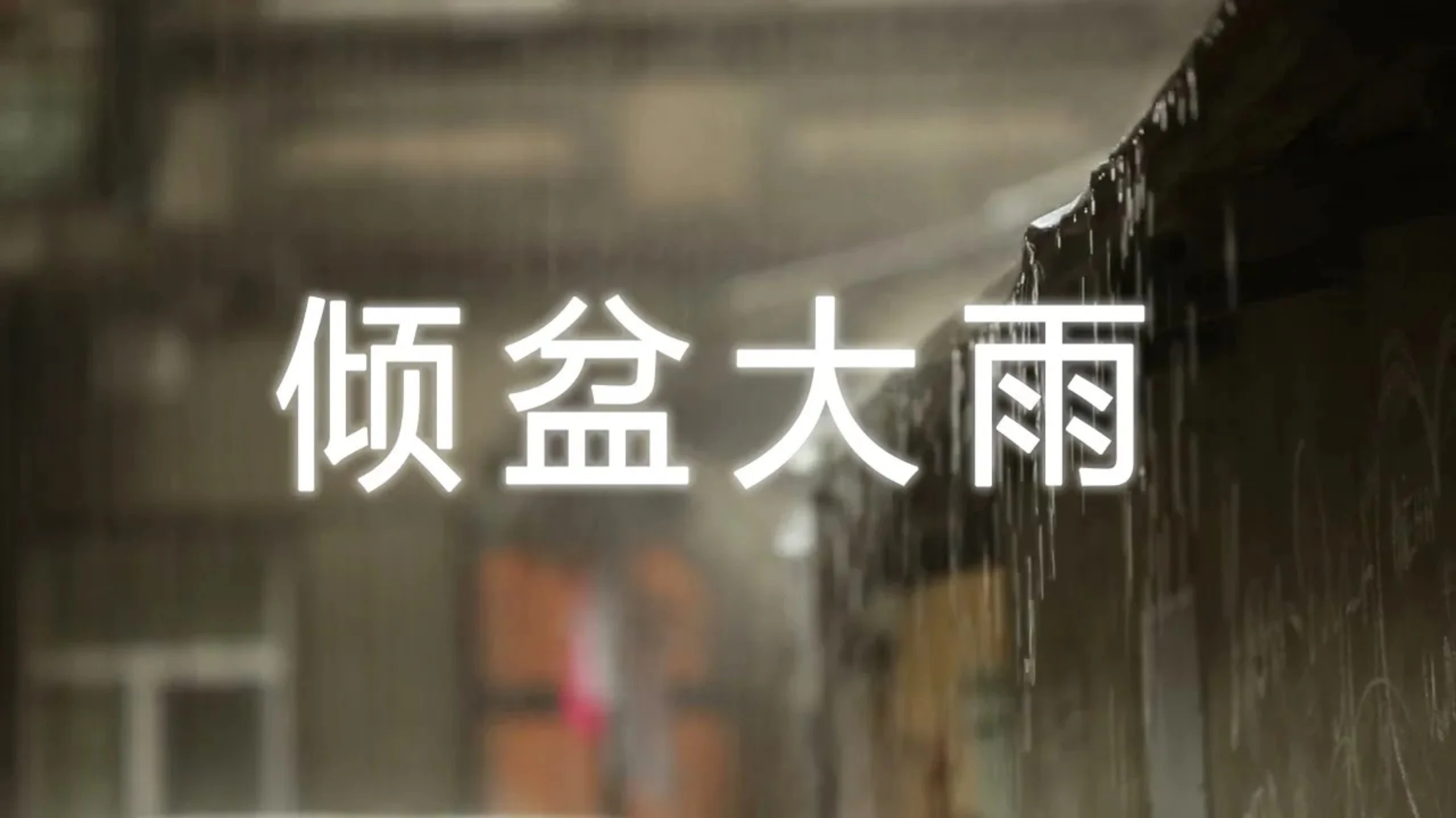 calm relaxing：【白噪音/ 自然/治愈】午后的倾盆大雨 隔着屏幕都能闻到那雨水的气息